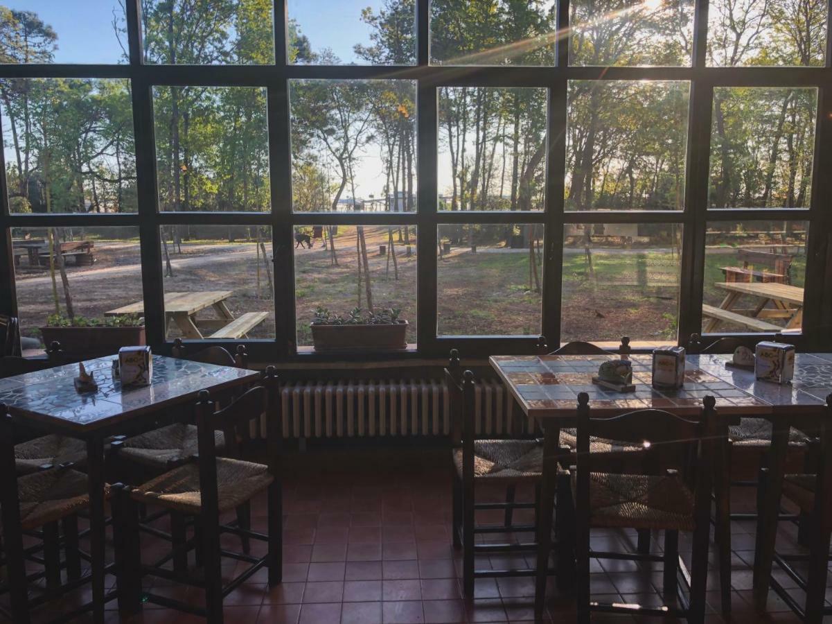 La Villa Cervia Eksteriør billede
